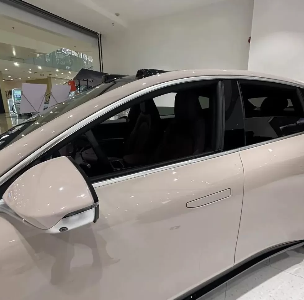 实探10家新能源车：多数极端情况无法开门-第5张图片-