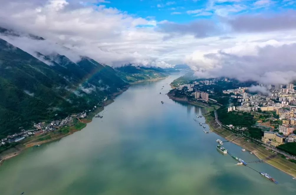 理响中国|从“一棵树”到“一片海”的绿色奇迹-第2张图片-