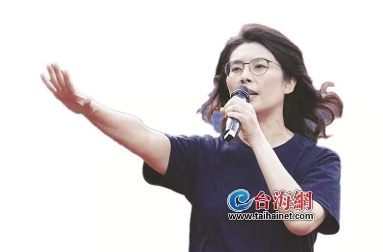 “由绿转蓝”的郑丽文为何能逆袭成功？-第1张图片-