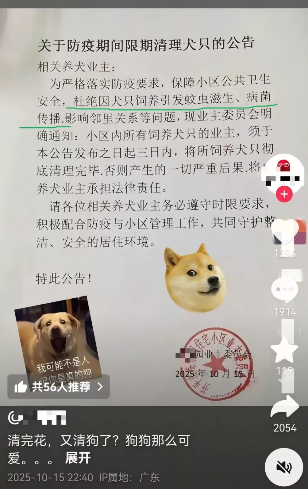基孔肯雅热的消杀，怎么还在继续？-第6张图片-