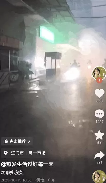 基孔肯雅热的消杀，怎么还在继续？-第18张图片-