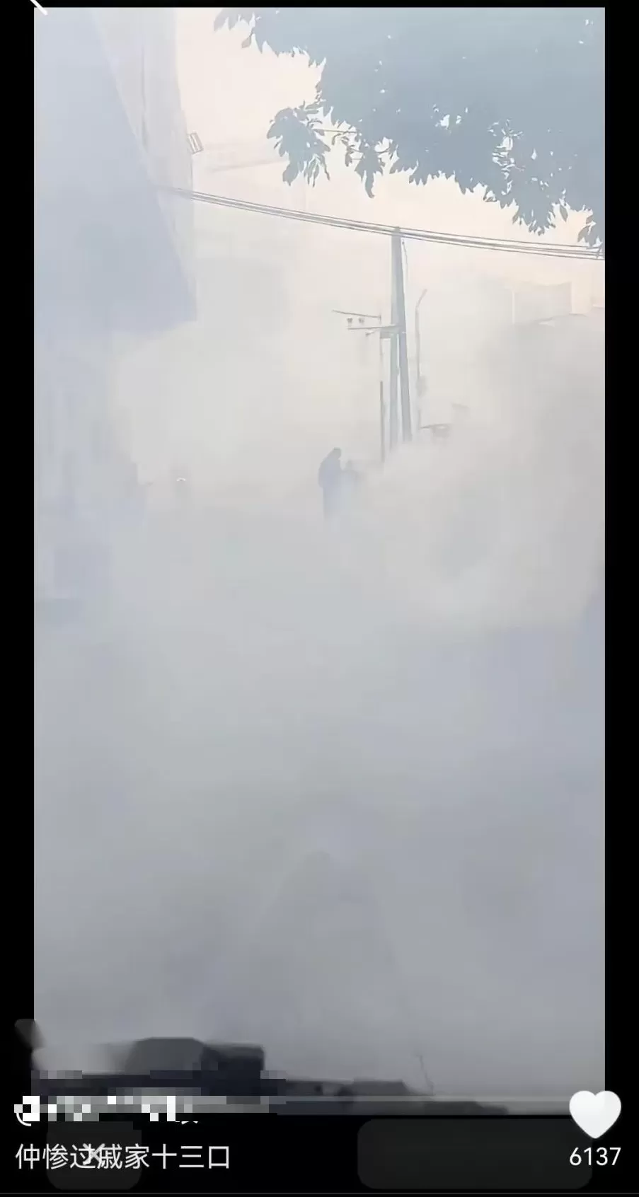 基孔肯雅热的消杀，怎么还在继续？-第20张图片-