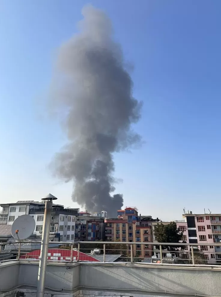 热点问答丨阿富汗和巴基斯坦缘何打打停停-第3张图片-