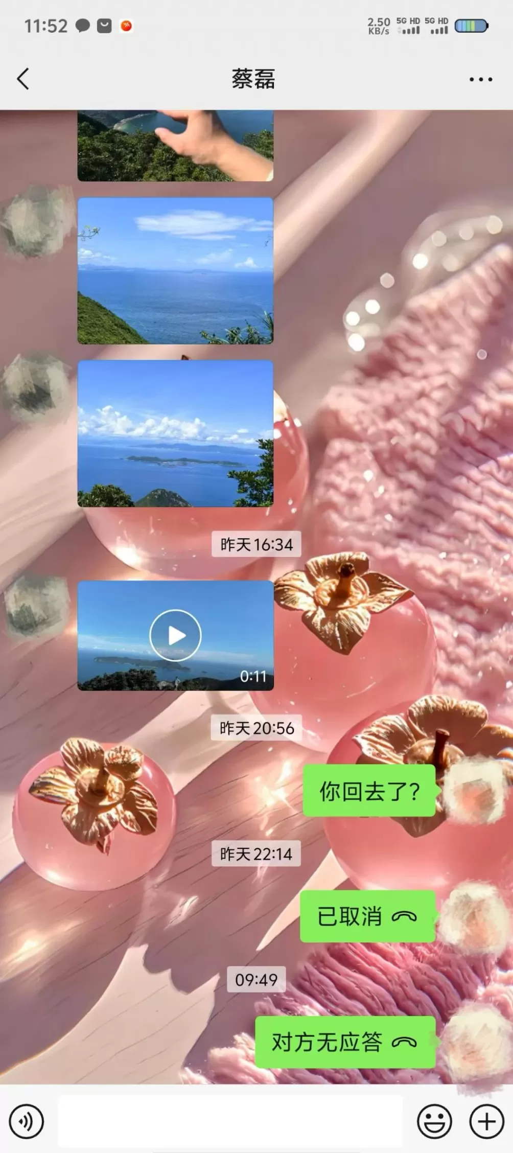 27岁蔡磊遗骸被找到，家属已确认身份-第2张图片-