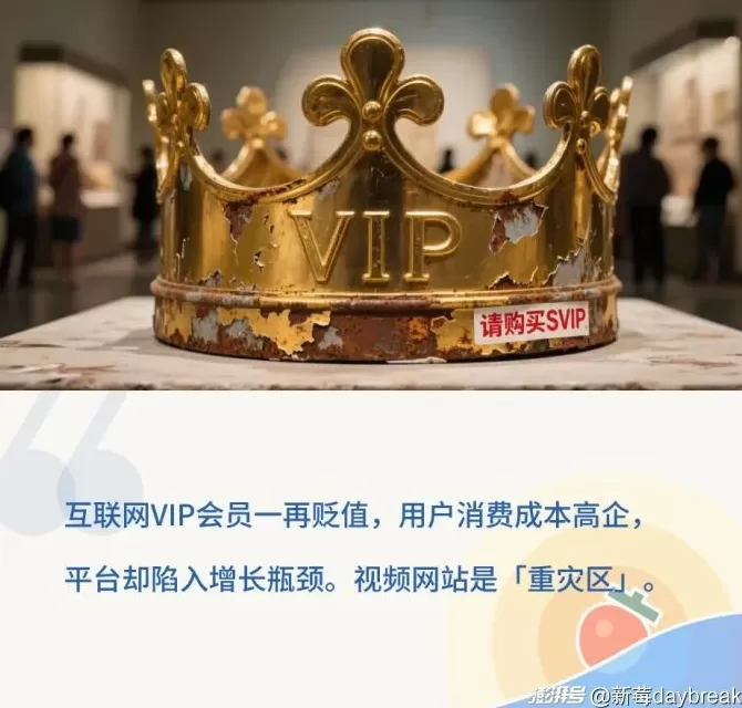 从免费到“套娃式”收费，互联网会员为何越买越贵？-第1张图片-