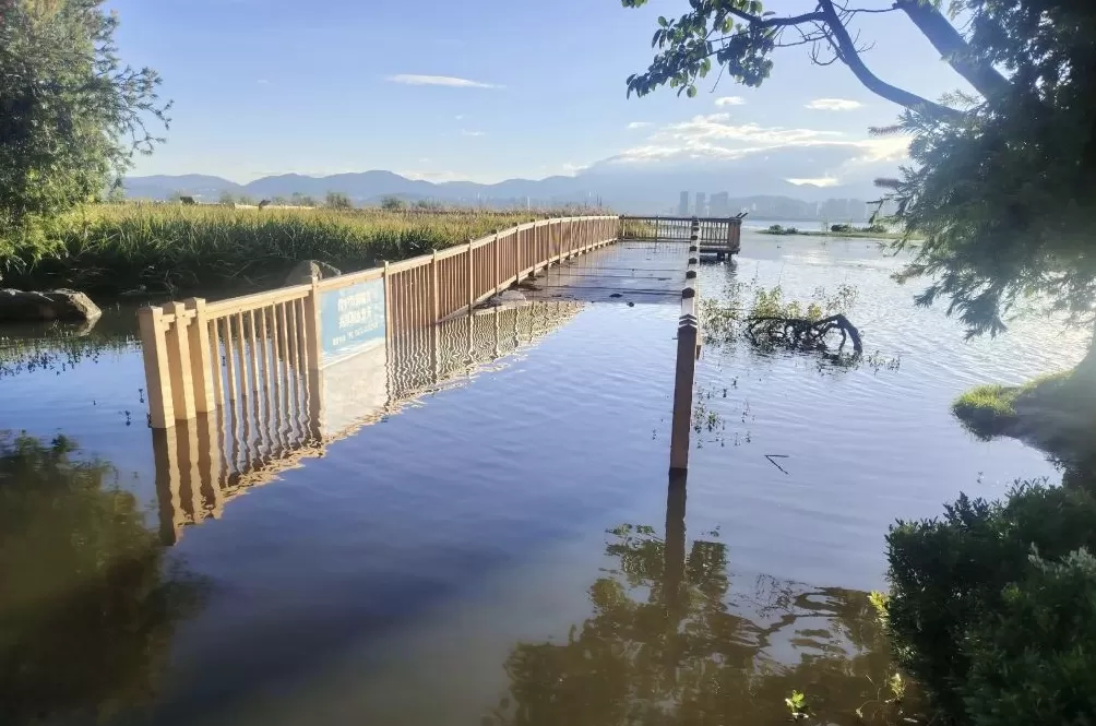大理洱海水位迅速上涨：降雨偏多，净入湖水量是去年同期3倍-第1张图片-