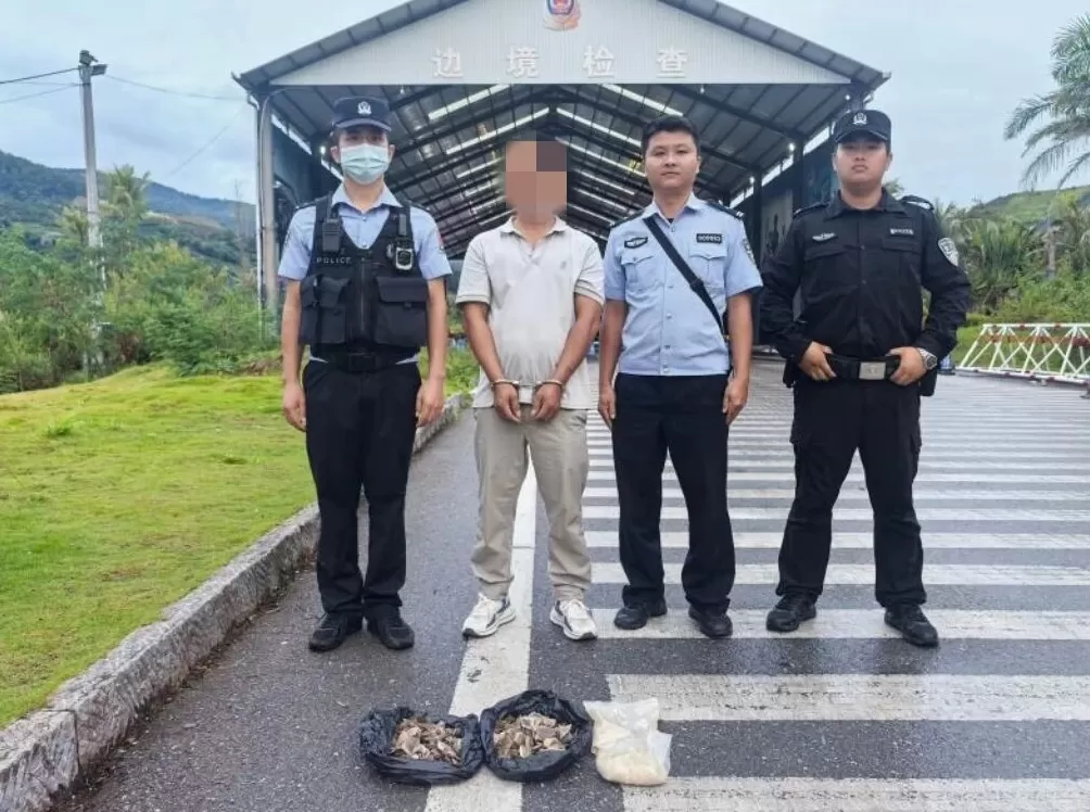 男子从境外购回两公斤穿山甲鳞片及制品，被云南澜沧警方查获-第1张图片-