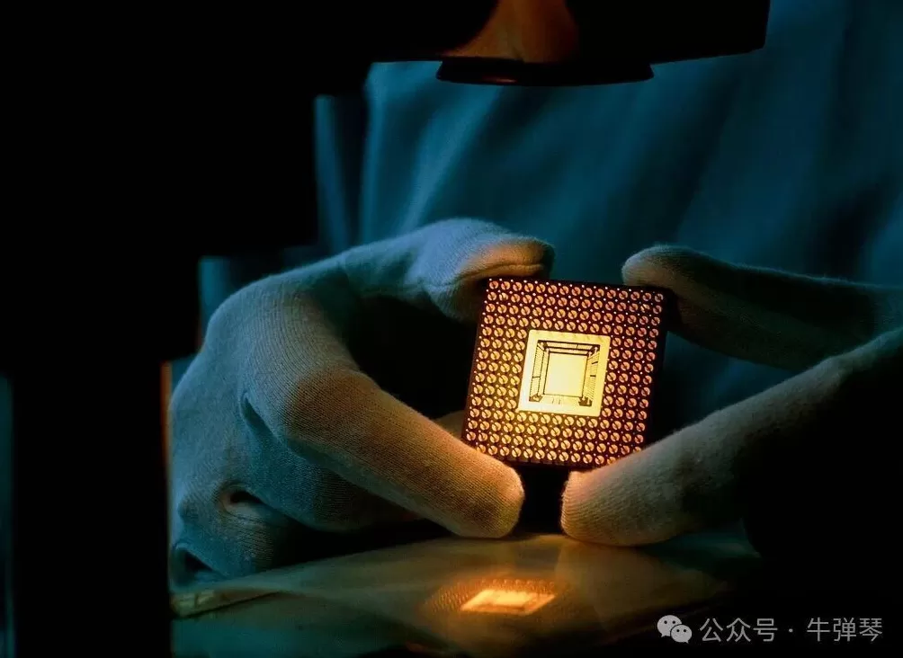 一觉醒来，荷兰打来了电话-第1张图片-