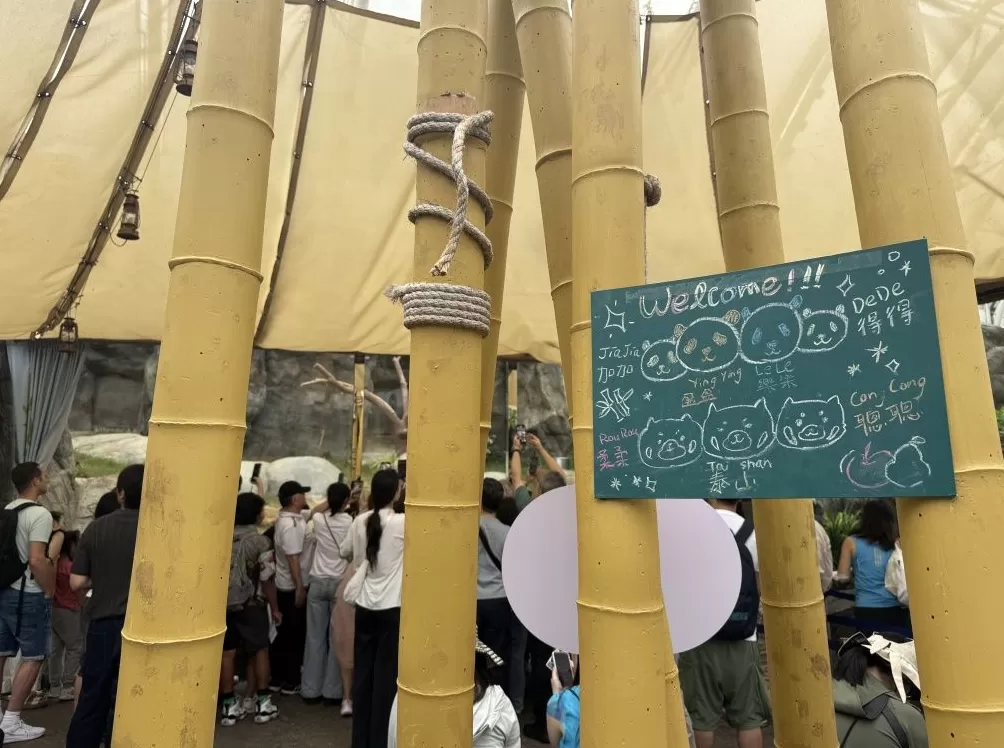 香港海洋公园：上一财年亏损2.75亿港元，大熊猫带动入场人次和收入连续四年上升-第2张图片-