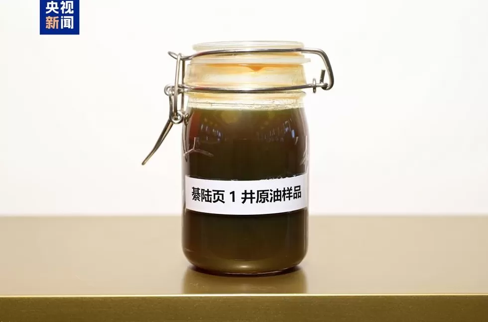 中国发现亿吨级新页岩油增储阵地-第2张图片-