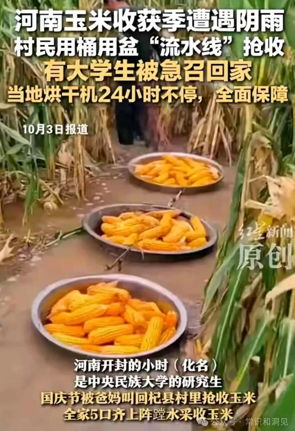 只悯仓粮不悯农-第5张图片-