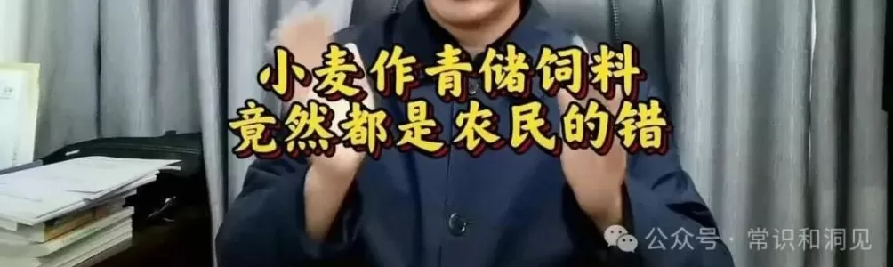 只悯仓粮不悯农-第4张图片-