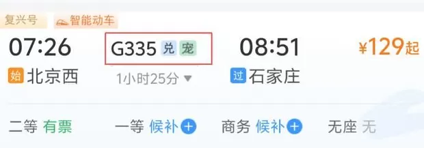 360元起托运宠物，宠物高铁试点范围再扩大-第2张图片-