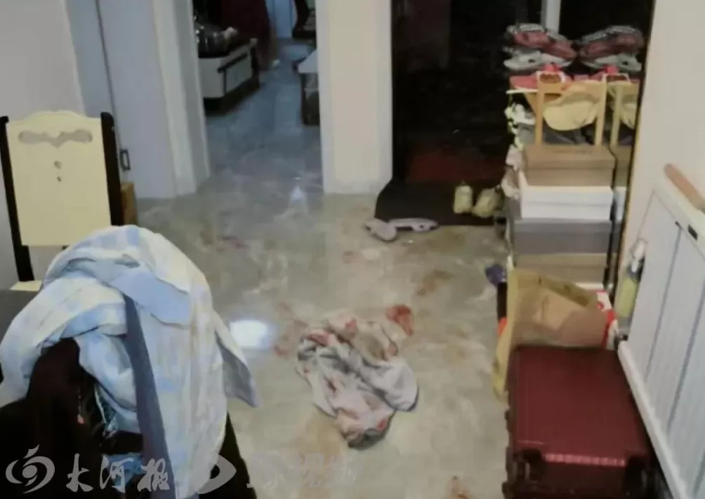 23岁女子与男友争执后胸口中刀死亡，一审男友被判无罪，逝者家属：二审维持原判-第1张图片-