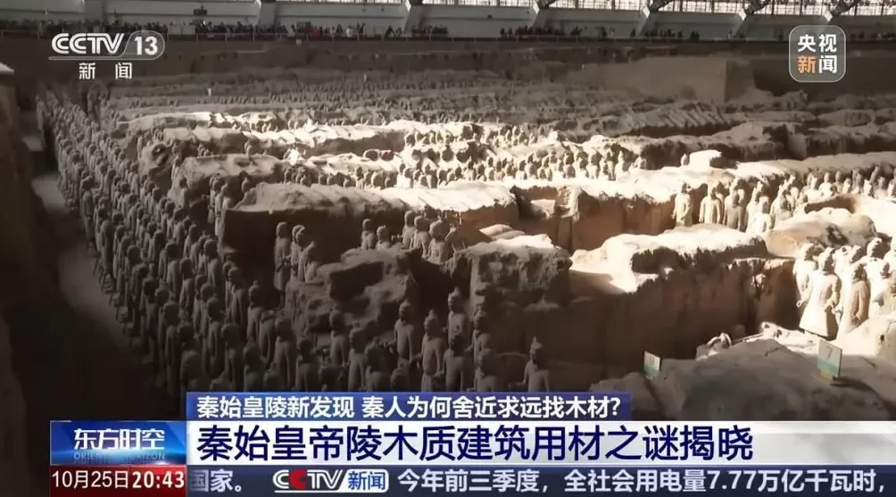 秦始皇陵现高海拔冷杉云杉秦人为何舍近求远找木材?-第1张图片-