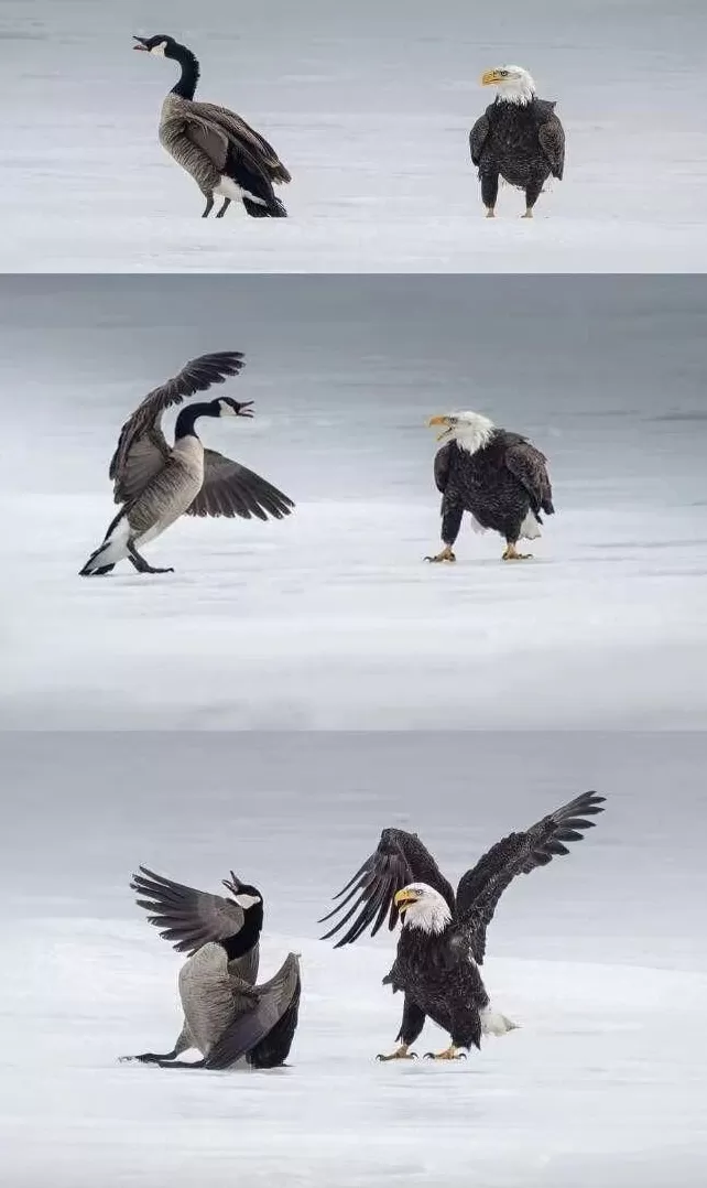 更肮脏的游戏来了-第6张图片- 更肮脏的游戏来了-第6张图片-