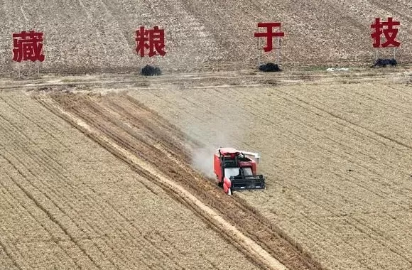 【高质量发展看陕西】乡村振兴，这边“丰”景独好-第1张图片-