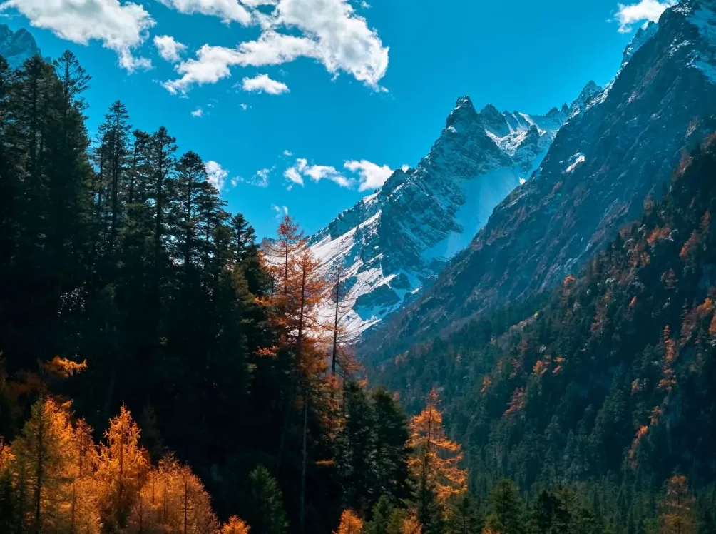 新城市志︱中国科技城,争当文旅优等生-第8张图片- 新城市志︱中国科技城,争当文旅优等生-第8张图片-