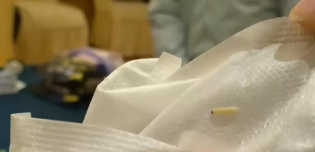 知名品牌贴身用品被曝有活虫！现场拆包，看到虫子还在蠕动，最新回应-第1张图片-