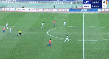 中超冠军争夺战最后冲刺,积分榜前三名一齐“踩刹车”-第2张图片- 中超冠军争夺战最后冲刺,积分榜前三名一齐“踩刹车”-第2张图片-