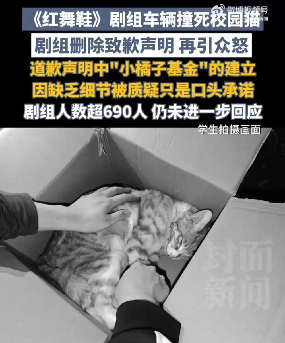 致歉声明突然消失！《红舞鞋》剧组再引争议-第4张图片-