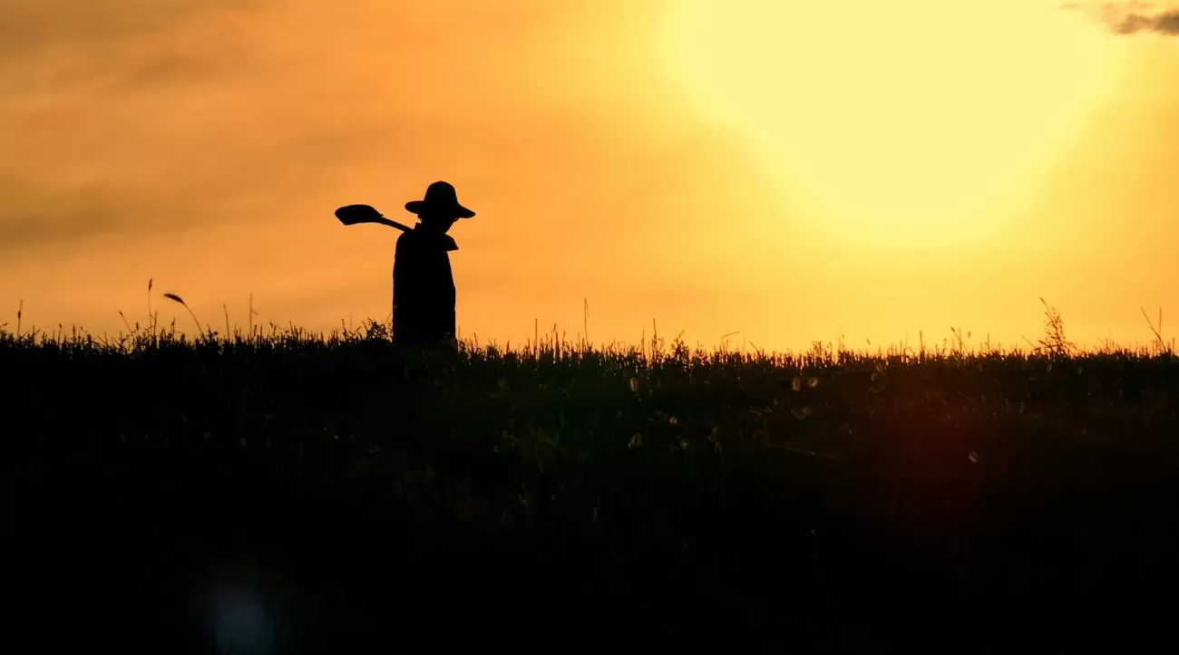 《文学的故乡》第二季来了，导演：跟着作家回到故乡，看文学如何发生-第3张图片-