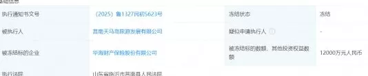 华海财险1.2亿股权遭司法冻结，董事张倩已被限制高消费-第2张图片-