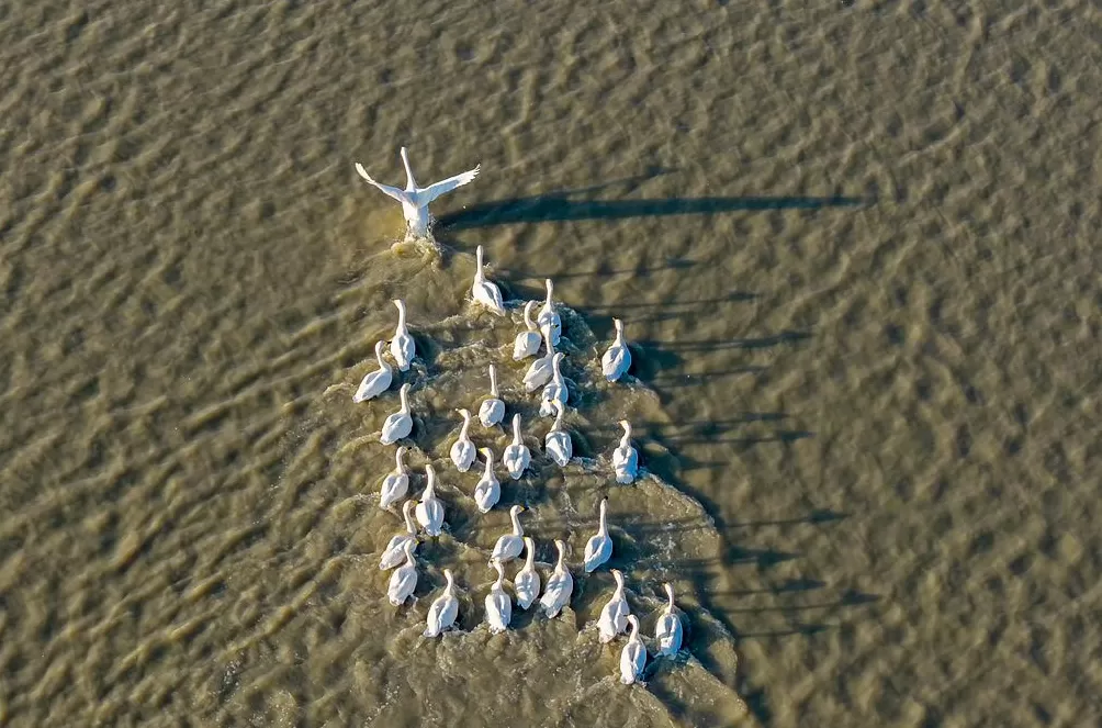 一周图片|特朗普启程访日:警方强化对“孤狼式袭击”的防范-第9张图片- 一周图片|特朗普启程访日:警方强化对“孤狼式袭击”的防范-第9张图片-