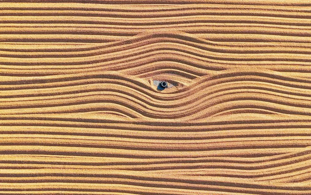 一周图片|特朗普启程访日:警方强化对“孤狼式袭击”的防范-第10张图片- 一周图片|特朗普启程访日:警方强化对“孤狼式袭击”的防范-第10张图片-