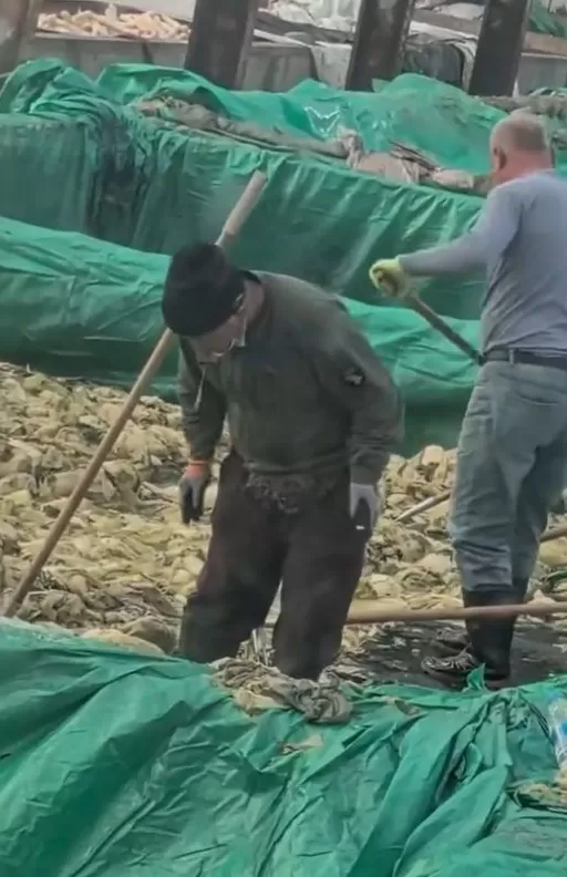 “男子在酸菜池抽烟、随口乱吐”引愤慨，辽宁葫芦岛市监部门回应-第2张图片-
