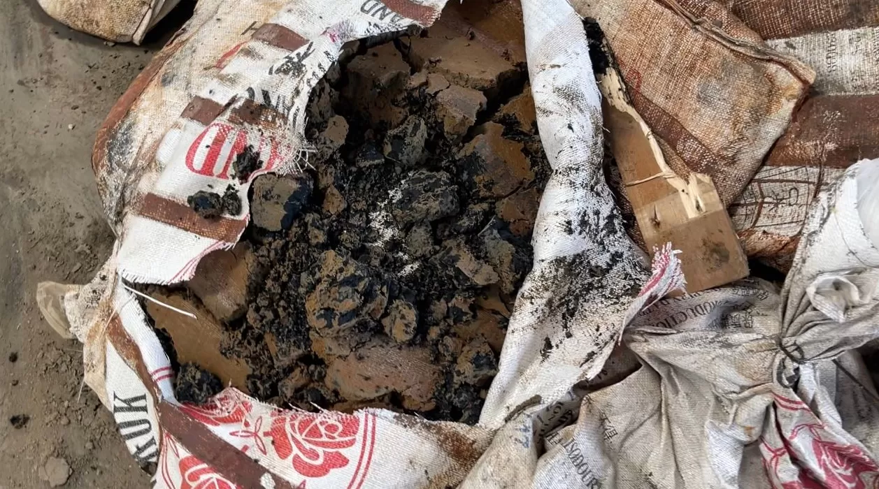 影子暗访丨“毒营养土”调查（下）：固废处置资质被滥用，收污泥倒手卖出-第2张图片-