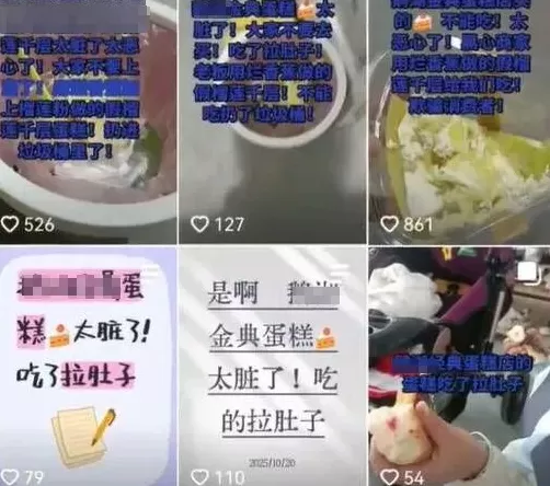 孩子用手摸蛋糕，店员提醒反遭其母诬陷-第1张图片-