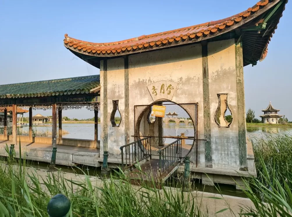 龙凤公园的死与生:一座东北油城的微观绿化史-第2张图片- 龙凤公园的死与生:一座东北油城的微观绿化史-第2张图片-