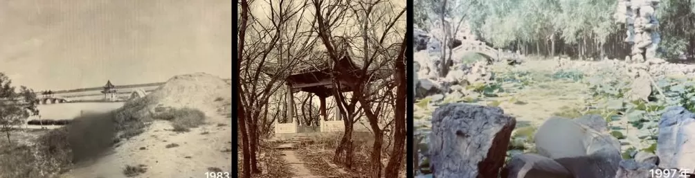 龙凤公园的死与生:一座东北油城的微观绿化史-第3张图片- 龙凤公园的死与生:一座东北油城的微观绿化史-第3张图片-