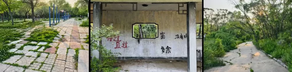 龙凤公园的死与生:一座东北油城的微观绿化史-第4张图片- 龙凤公园的死与生:一座东北油城的微观绿化史-第4张图片-