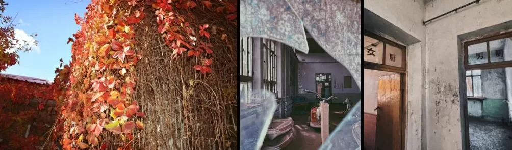 龙凤公园的死与生:一座东北油城的微观绿化史-第5张图片- 龙凤公园的死与生:一座东北油城的微观绿化史-第5张图片-