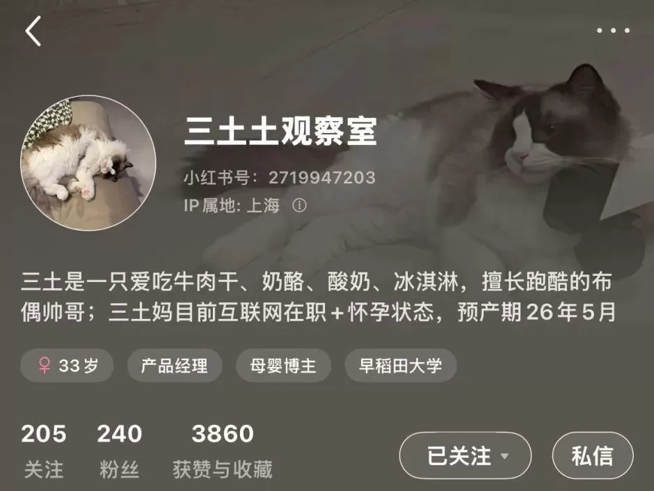 看开了的中年人，挤在职场“接裁神”-第15张图片-