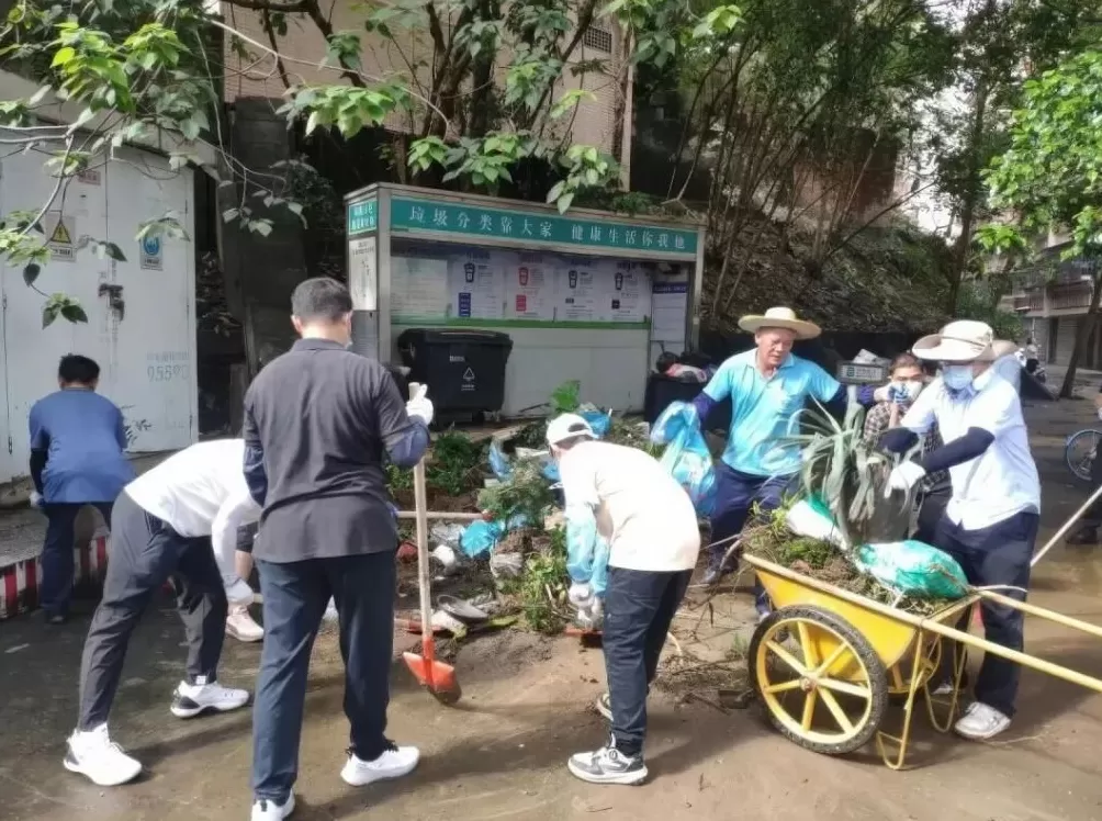 广东江门“决战”基孔肯雅热：与蚊子的“殊死较量”-第6张图片-