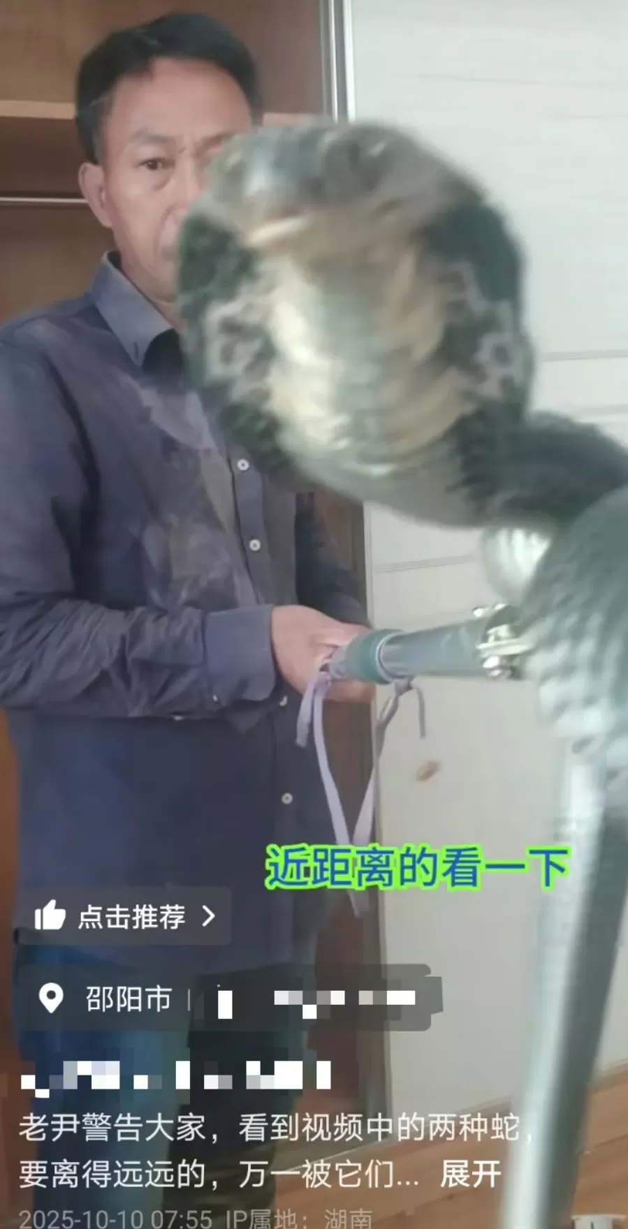 湖南邵阳一“直播抓蛇”网红被毒蛇咬伤后失联,嫌血清贵不打-第1张图片- 湖南邵阳一“直播抓蛇”网红被毒蛇咬伤后失联,嫌血清贵不打-第1张图片-