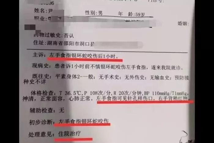 男子直播挖蛇被银环蛇咬伤，“嫌血清贵未注射自行离开医院失联”，当地组织10多人寻找-第3张图片-