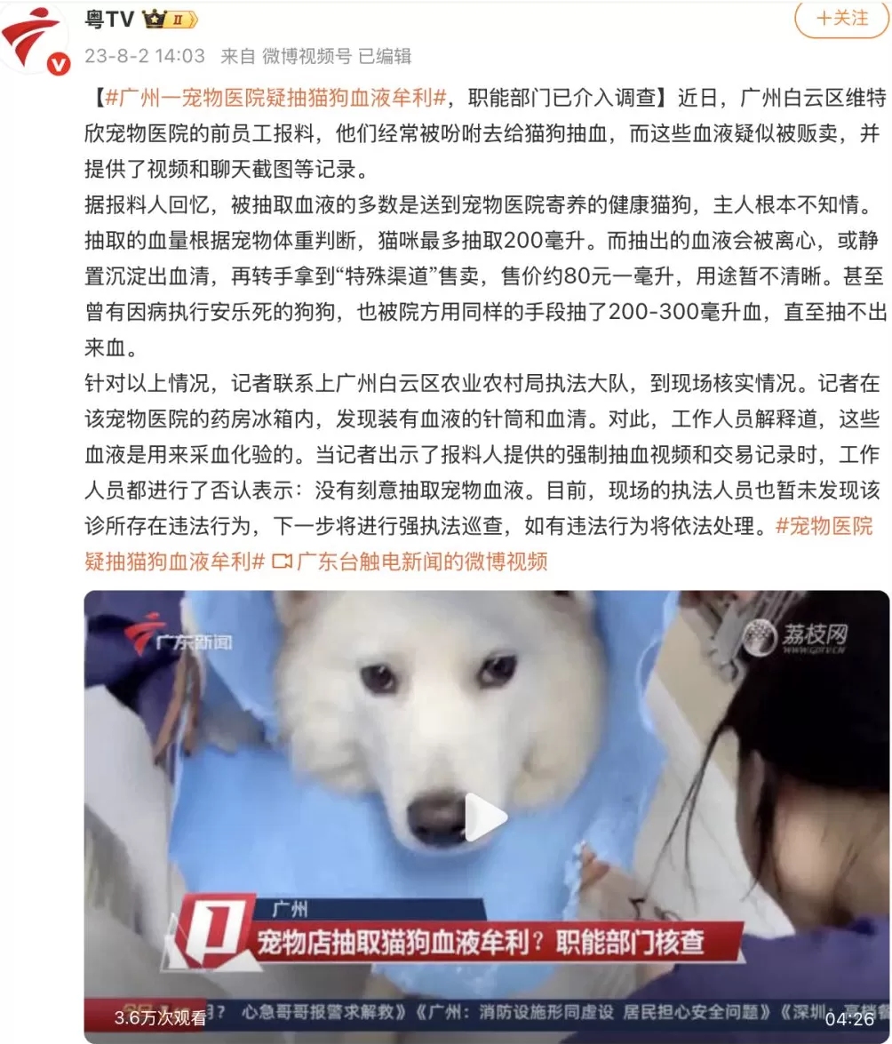 “血猫”事件有判例证据：广州一宠物医院实习员工曾搜证爆料-第1张图片-