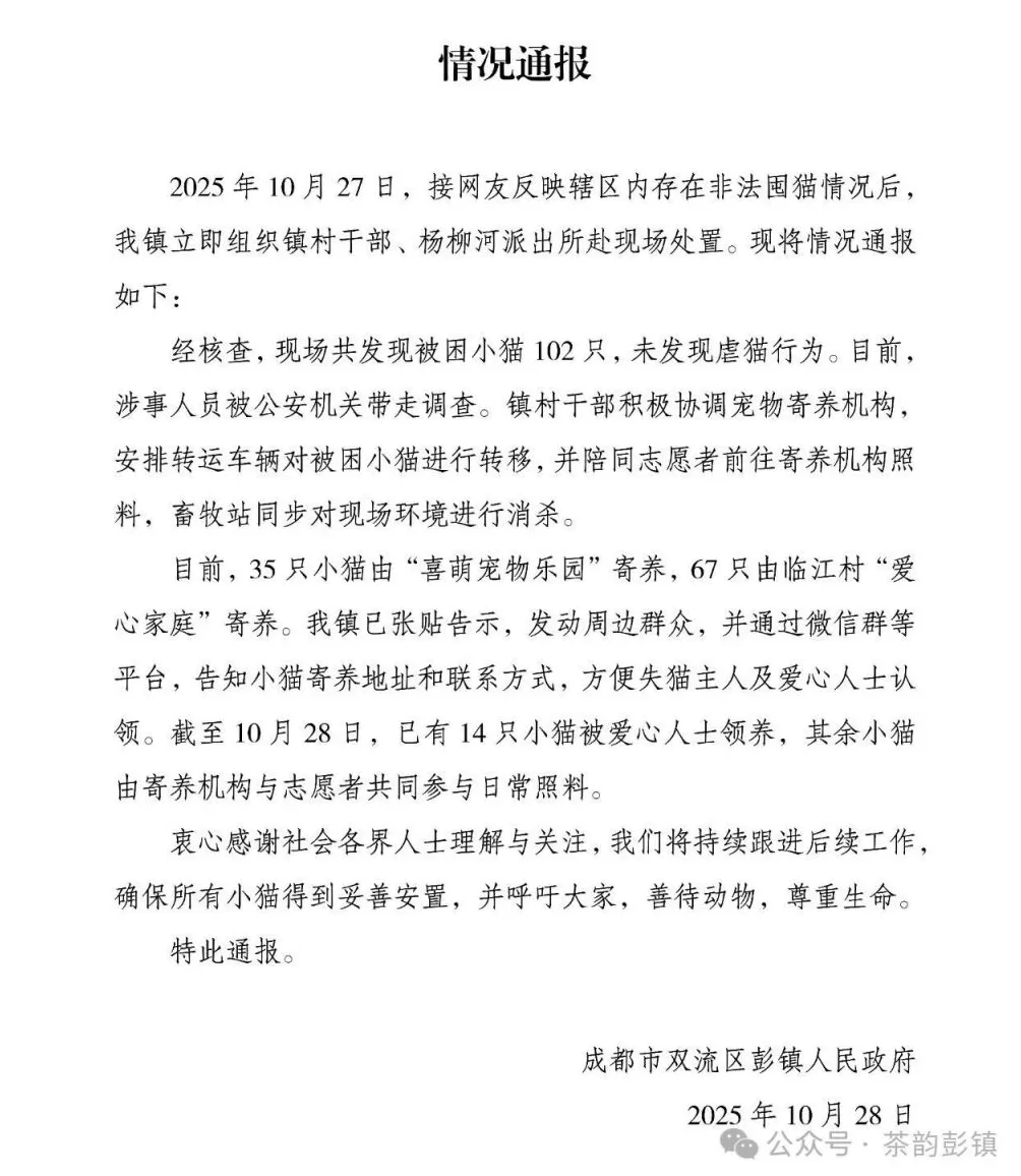 网友反映非法囤猫情况，成都通报：未发现虐猫，涉事人员被调查-第1张图片-