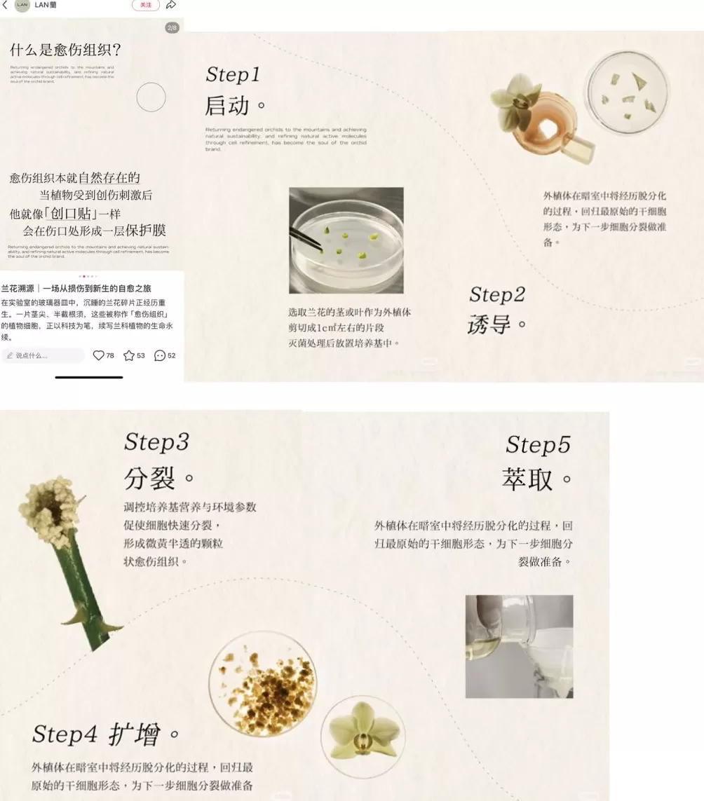 护肤品牌“LAN”被指产品备案信息与品牌宣传不符:有潜在原料安全风险-第2张图片- 护肤品牌“LAN”被指产品备案信息与品牌宣传不符:有潜在原料安全风险-第2张图片-