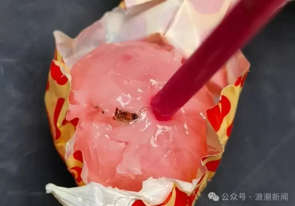 两次购买棒棒糖,都发现有虫子?消费者要求按法律赔偿!“徐福记”这样回应-第1张图片- 两次购买棒棒糖,都发现有虫子?消费者要求按法律赔偿!“徐福记”这样回应-第1张图片-