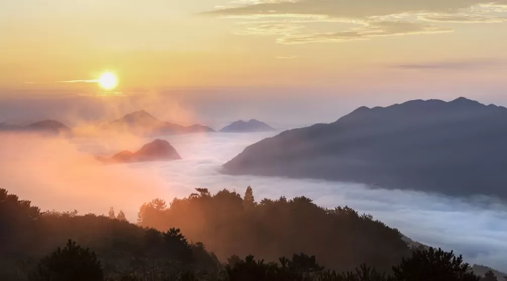 重阳节｜时光不老，爱不延时-第3张图片-