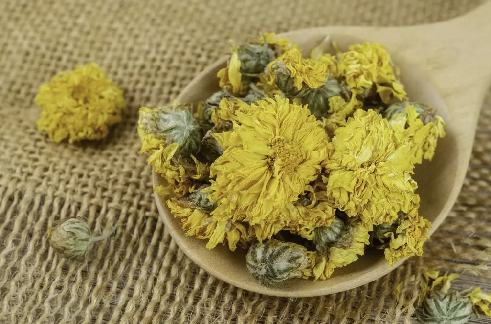 重阳节｜时光不老，爱不延时-第7张图片-