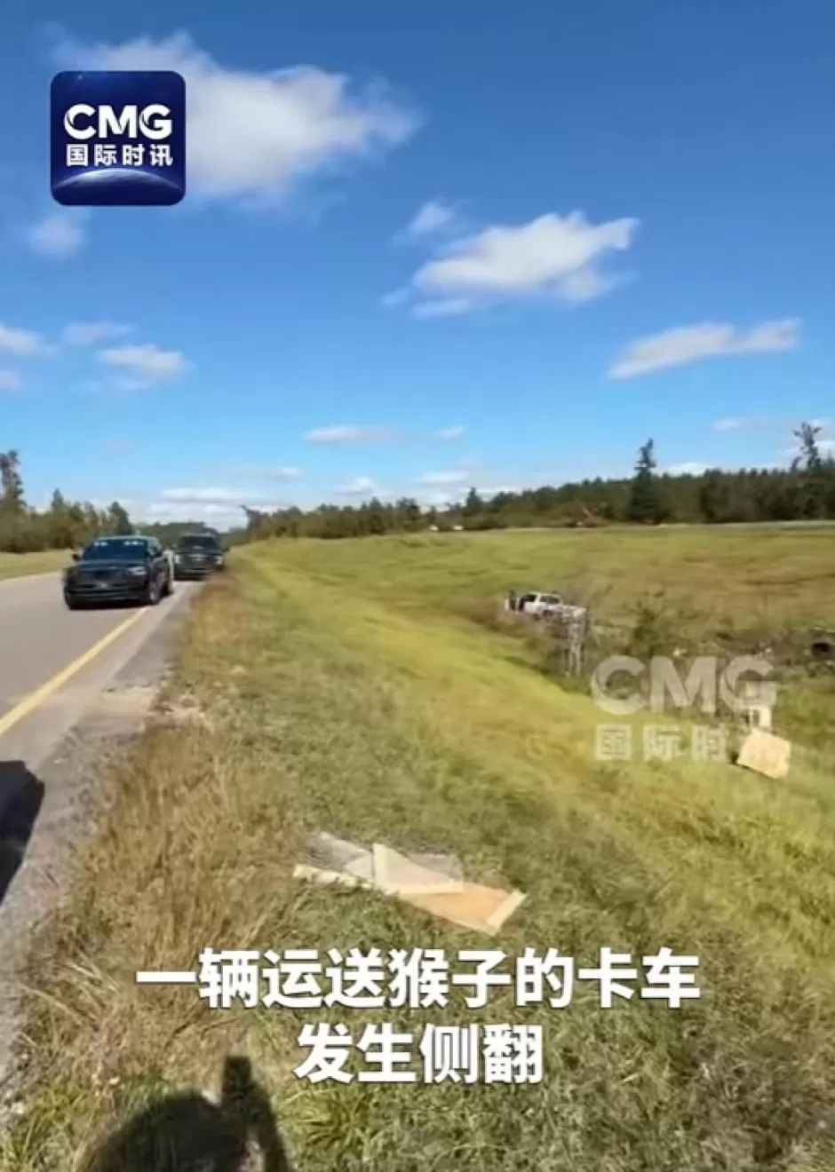 美国一卡车侧翻实验猴逃脱：被指携带新冠和丙肝等病毒，对人类具有攻击性-第2张图片-