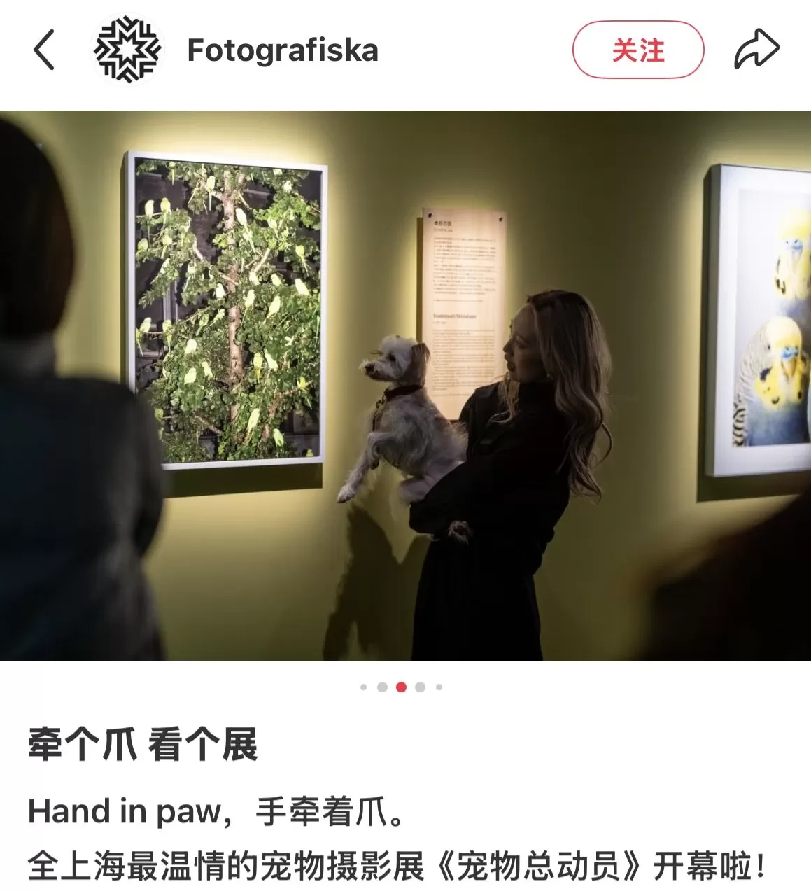 “昙花一现”是民营美术馆的宿命吗？-第10张图片-