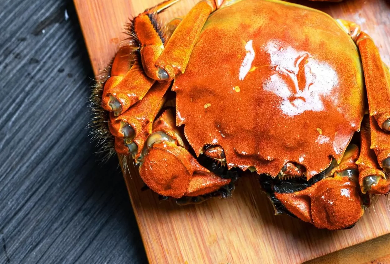 “蟹”逅新风口：当涂螃蟹的市场突围密码-第2张图片-