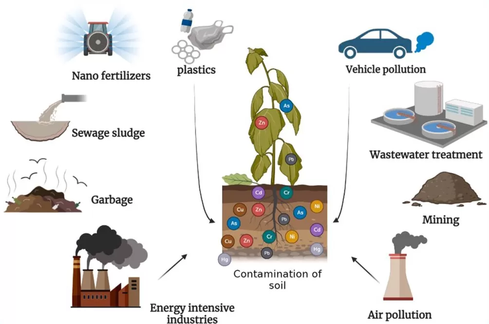 “毒土壤”有哪些重金属,会带来什么危害?来看一篇国际期刊论文总结-第1张图片- “毒土壤”有哪些重金属,会带来什么危害?来看一篇国际期刊论文总结-第1张图片-
